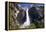 Low Angle View of the Yosemite Falls California-George Oze-Framed Premier Image Canvas