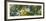 Low angle view of tree branch, Hoyt Arboretum, Washington Park, Portland, Oregon, USA-Panoramic Images-Framed Photographic Print