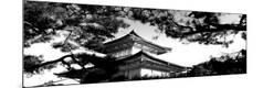 Premium Photographic Print