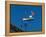 Low angle view of weather vane, Creac'h Lighthouse, Ushant Island, Finistere, Brittany, France-null-Framed Premier Image Canvas