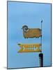 Low angle view of weather vane-null-Mounted Photographic Print