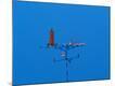 Premium Photographic Print