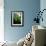 Low angle view of West Indian treefern (Cyathea arborea), Papillote Wilderness Retreat, Dominica-null-Framed Photographic Print displayed on a wall