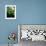 Low angle view of West Indian treefern (Cyathea arborea), Papillote Wilderness Retreat, Dominica-null-Framed Photographic Print displayed on a wall