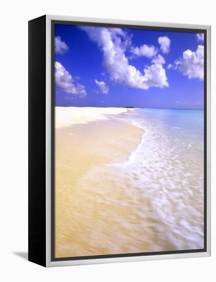 Low Bay Beach, Barbuda, Antigua-Michael DeFreitas-Framed Premier Image Canvas