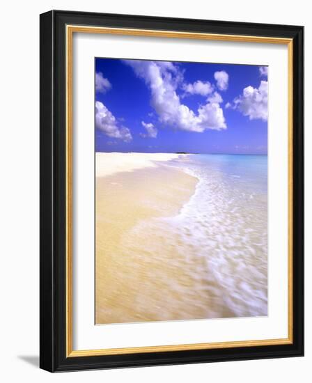 Low Bay Beach, Barbuda, Antigua-Michael DeFreitas-Framed Photographic Print