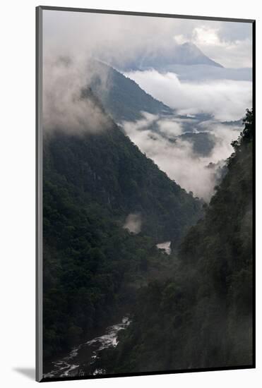 Low Cloud in the Potaro River Gorge, Guyana, South America-Mick Baines & Maren Reichelt-Mounted Photographic Print