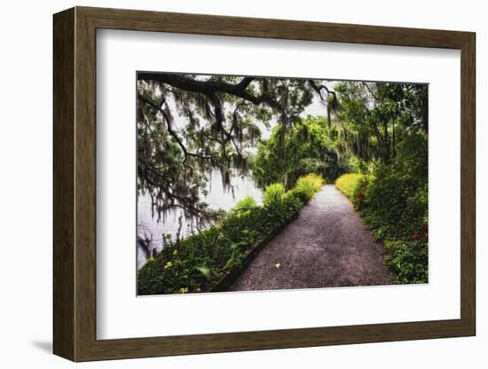 Low Country Walking Path, Charleston,SC-George Oze-Framed Photographic Print