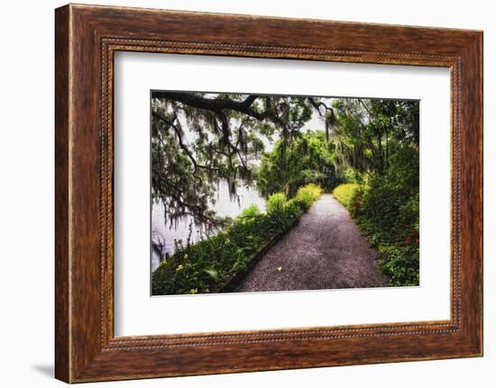 Low Country Walking Path, Charleston,SC-George Oze-Framed Photographic Print