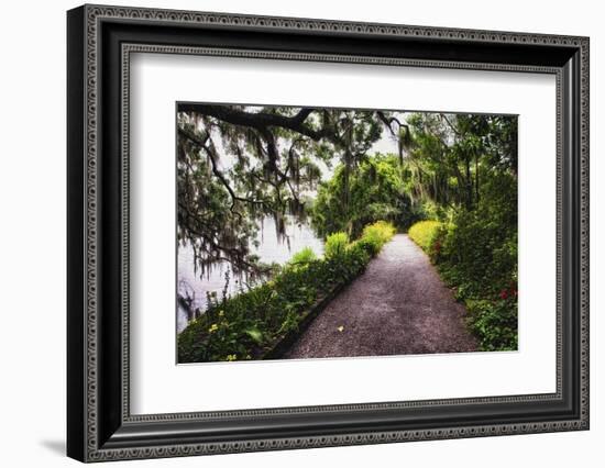 Low Country Walking Path, Charleston,SC-George Oze-Framed Photographic Print