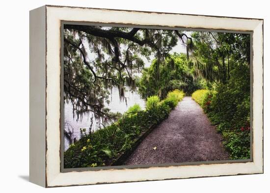 Low Country Walking Path, Charleston,SC-George Oze-Framed Premier Image Canvas