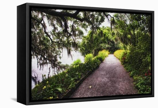 Low Country Walking Path, Charleston,SC-George Oze-Framed Premier Image Canvas