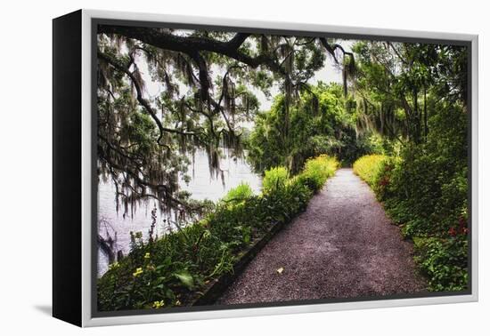 Low Country Walking Path, Charleston,SC-George Oze-Framed Premier Image Canvas