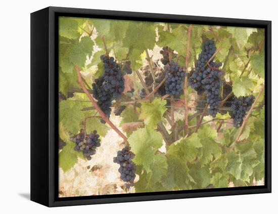 Low Hanging Fruit-George Johnson-Framed Premier Image Canvas