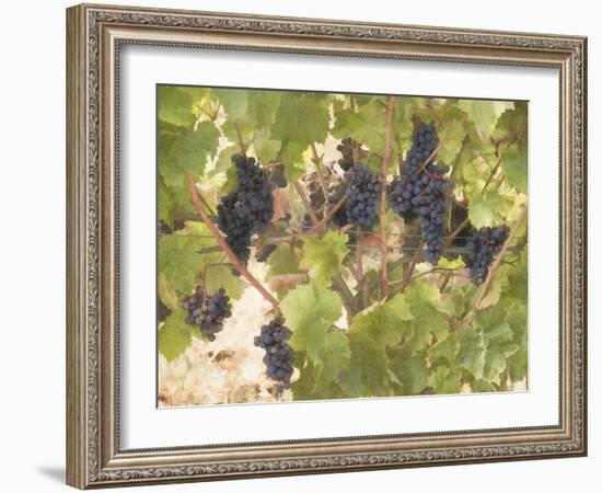 Low Hanging Fruit-George Johnson-Framed Photographic Print