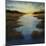 Low Land Reflection-Tim O'toole-Mounted Giclee Print