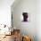 Low Poly Abstract Portrait of a Black Girl-musicman-Premium Giclee Print displayed on a wall