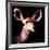 Low Poly Safari Art - Antelope - Black Edition III-Philippe Hugonnard-Framed Art Print
