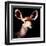 Low Poly Safari Art - Antelope - Black Edition III-Philippe Hugonnard-Framed Art Print