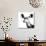 Low Poly Safari Art - Antelope - White Edition II-Philippe Hugonnard-Art Print displayed on a wall