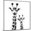 Low Poly Safari Art - Giraffes - White Edition II-Philippe Hugonnard-Mounted Art Print