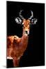 Low Poly Safari Art - Impala Antelope - Black Edition-Philippe Hugonnard-Mounted Premium Giclee Print