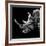 Low Poly Safari Art - Rhino - Black Edition III-Philippe Hugonnard-Framed Art Print