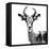 Low Poly Safari Art - The Antelope - White Edition II-Philippe Hugonnard-Framed Stretched Canvas