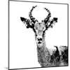 Low Poly Safari Art - The Antelope - White Edition II-Philippe Hugonnard-Mounted Art Print