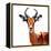 Low Poly Safari Art - The Antelope - White Edition-Philippe Hugonnard-Framed Stretched Canvas