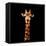 Low Poly Safari Art - The Giraffe - Black Edition-Philippe Hugonnard-Framed Stretched Canvas