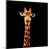Low Poly Safari Art - The Giraffe - Black Edition-Philippe Hugonnard-Mounted Art Print