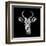 Low Poly Safari Art - The Look of Antelope - Black Edition II-Philippe Hugonnard-Framed Art Print