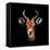 Low Poly Safari Art - The Look of Antelope - Black Edition-Philippe Hugonnard-Framed Stretched Canvas