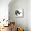 Low Poly Safari Art - The Rhino - White Edition-Philippe Hugonnard-Framed Stretched Canvas displayed on a wall