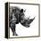 Low Poly Safari Art - The Rhino - White Edition-Philippe Hugonnard-Framed Stretched Canvas