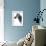 Low Poly Safari Art - Zebra Profile - White edition-Philippe Hugonnard-Framed Art Print displayed on a wall