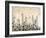 Low Res-Sydney Edmunds-Framed Giclee Print