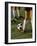 Low Section View of Soccer Players Feet and a Soccer Ball-null-Framed Photographic Print