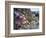 Low Tide at Point of Arches, Olympic National Park, Washington, USA-Gary Luhm-Framed Photographic Print