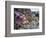 Low Tide at Point of Arches, Olympic National Park, Washington, USA-Gary Luhm-Framed Photographic Print