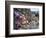 Low Tide at Point of Arches, Olympic National Park, Washington, USA-Gary Luhm-Framed Photographic Print