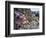 Low Tide at Point of Arches, Olympic National Park, Washington, USA-Gary Luhm-Framed Photographic Print