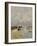 Low Tide at Trouville, 1895-Eugène Boudin-Framed Giclee Print