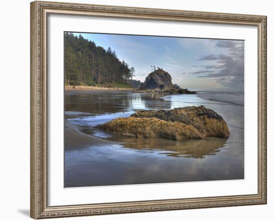 Low Tide, Olympic National Park, Washington, USA-Tom Norring-Framed Photographic Print