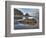 Low Tide, Olympic National Park, Washington, USA-Tom Norring-Framed Photographic Print