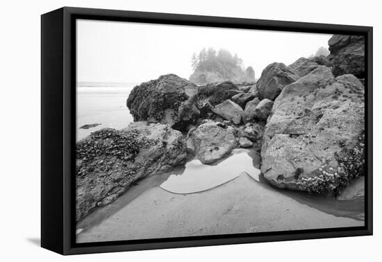 Low Tide, Pacific Ocean, Northern California, Trinidad-Rob Sheppard-Framed Premier Image Canvas