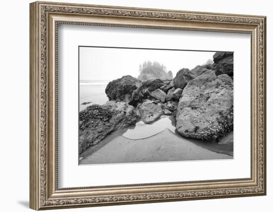 Low Tide, Pacific Ocean, Northern California, Trinidad-Rob Sheppard-Framed Photographic Print