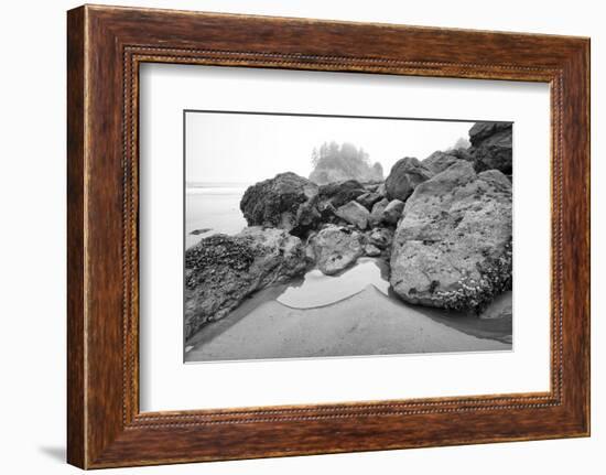 Low Tide, Pacific Ocean, Northern California, Trinidad-Rob Sheppard-Framed Photographic Print