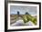 Low Tide Scenery-Luis Leamus-Framed Photographic Print